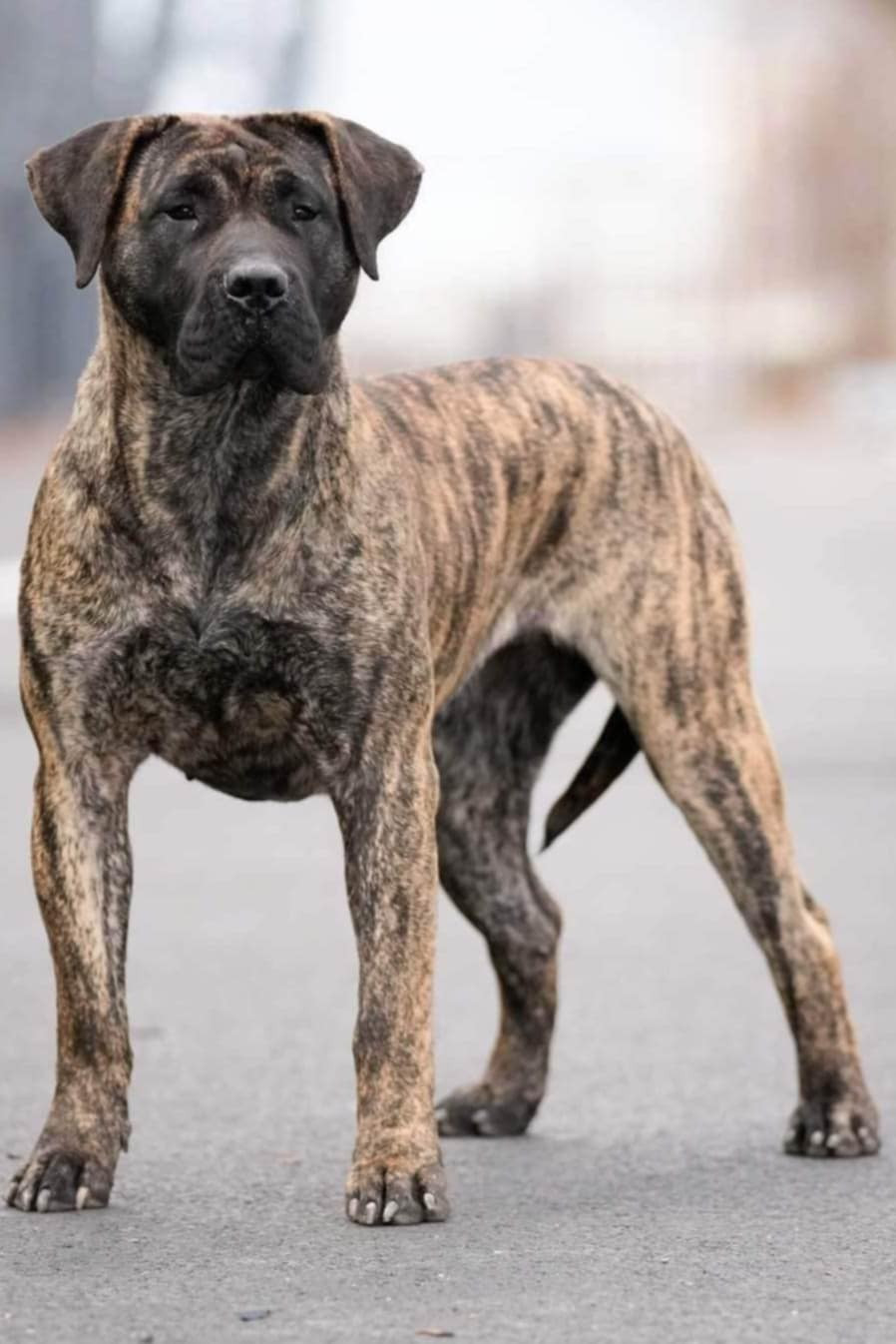 Des bébés pour début 2026🍾 ❤ ❤ ❤ 